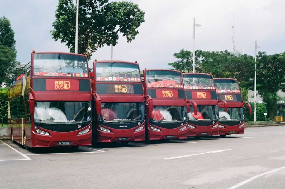 Aventura Brasileira: Ecoturismo de Ônibus pelo Brasil