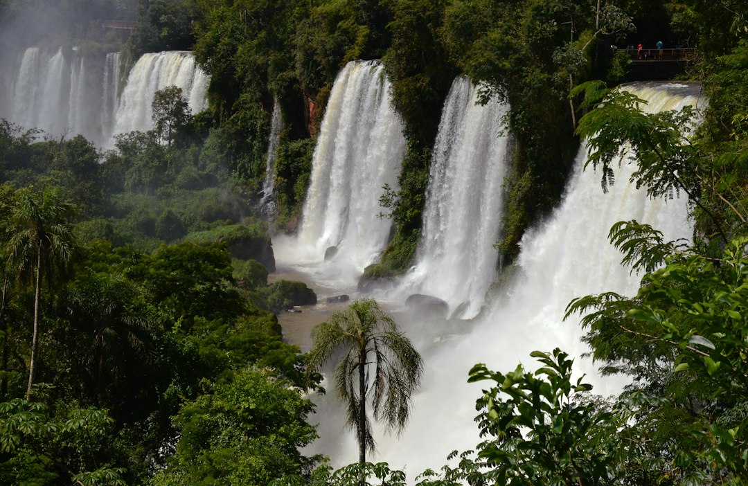 Aventura sobre Rodas: Excursões Rodoviárias para Parques Temáticos no Brasil