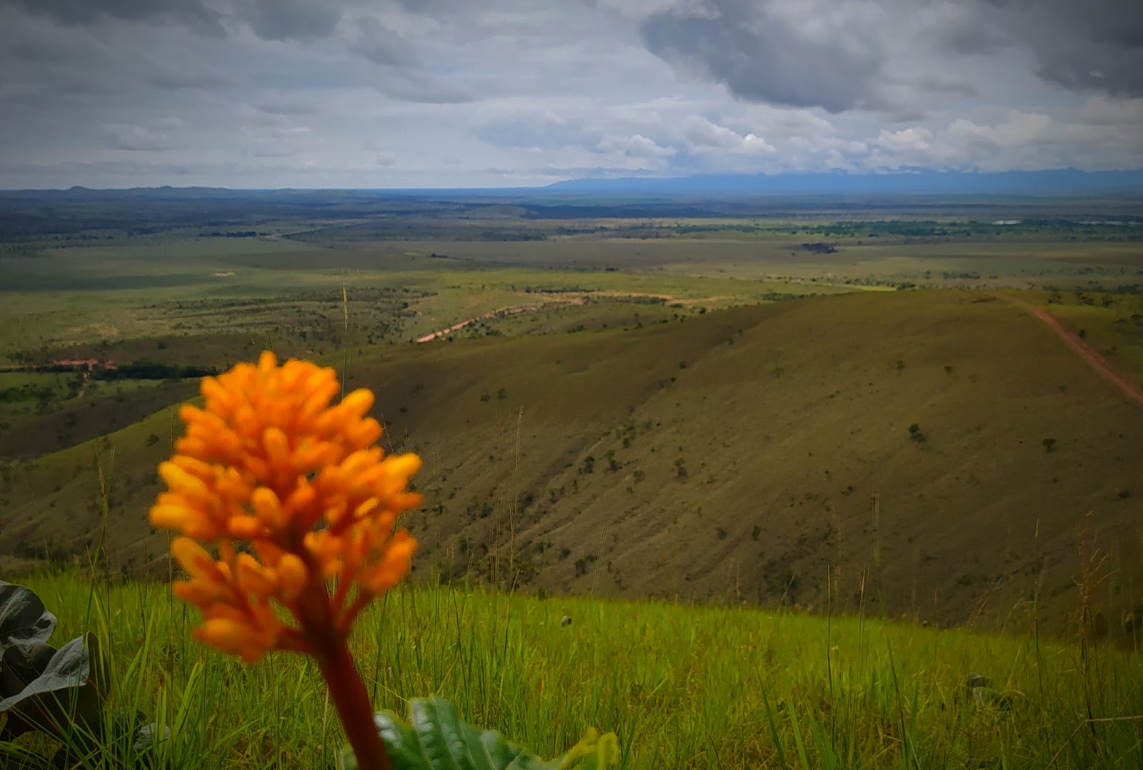 Bonfim, Roraima: Roteiro Completo para Sua Excursão Rodoviária