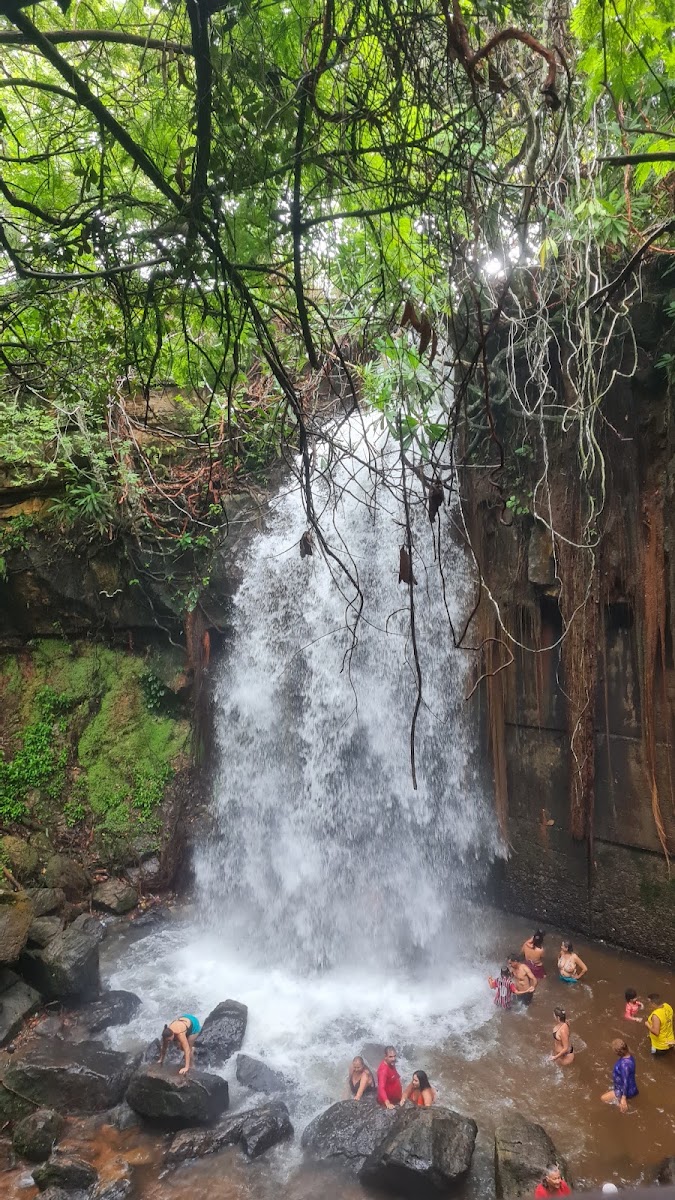 Chapada dos Guimarães: Sua Próxima Grande Excursão Rodoviária