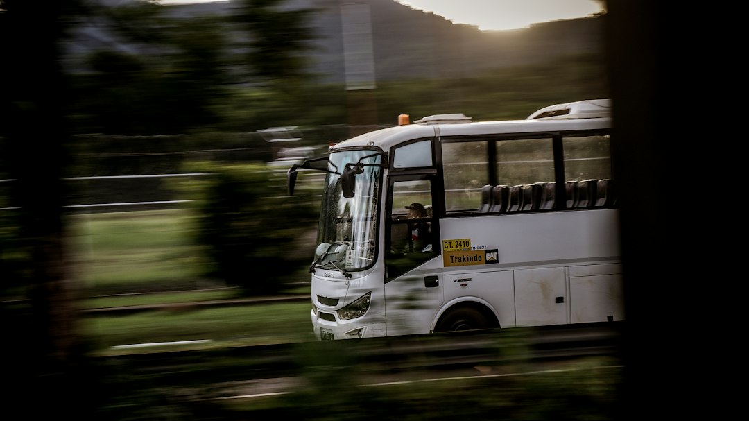 Excursão Rodoviária Nordeste: Praias Paradisíacas de Ônibus em 2026
