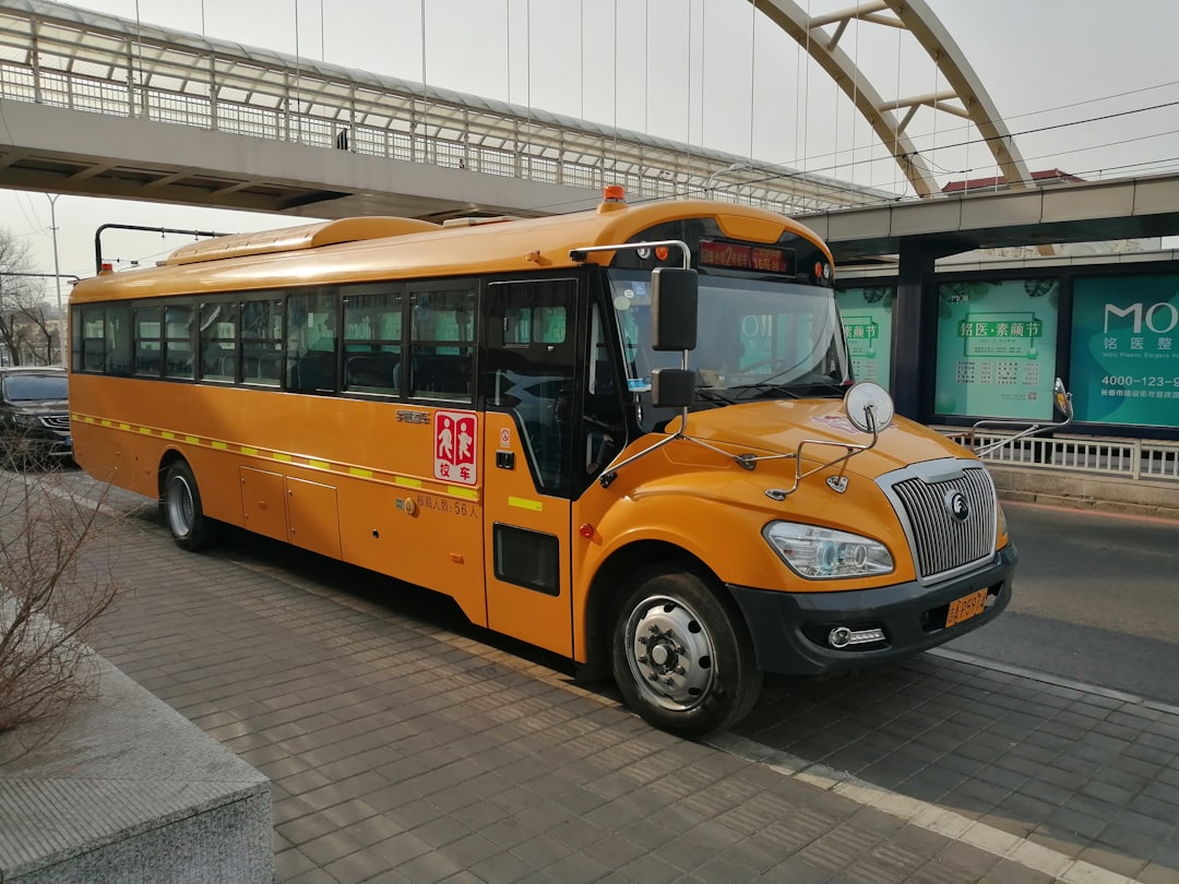Excursões Rodoviárias: O Nicho Ideal para Sua Agência?