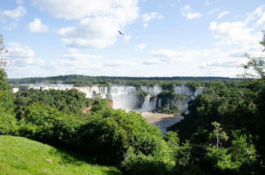 Excursões Rodoviárias para Parques Temáticos: Aventura no Brasil em 2026