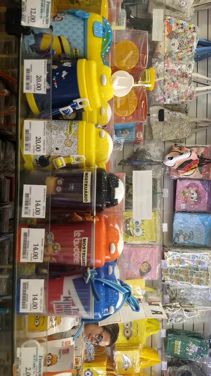 Guia Completo: Excursão de Compras ao Paraguai (Ciudad del Este) de Ônibus