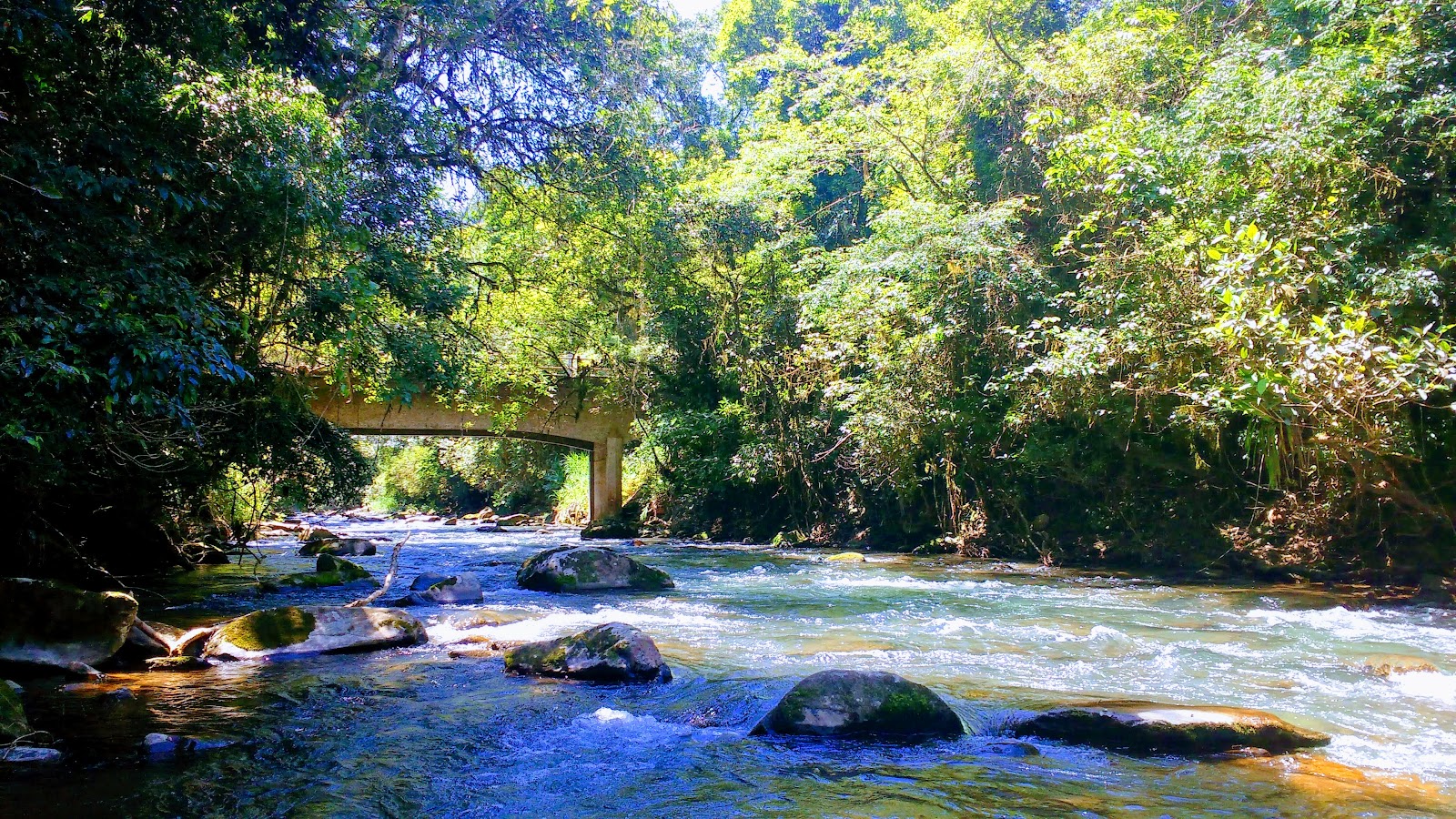 Iporanga: Aventura Inesquecível no Coração do PETAR para Sua Excursão!