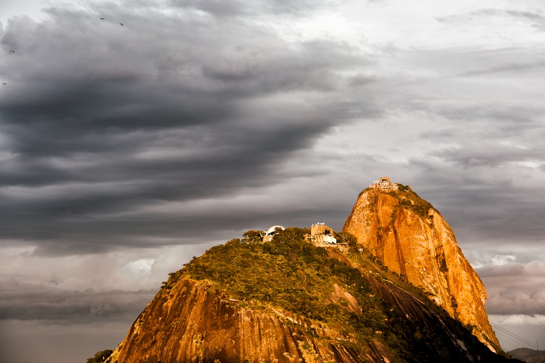 Monte Verde MG: Sua Excursão Rodoviária na Serra do Frio