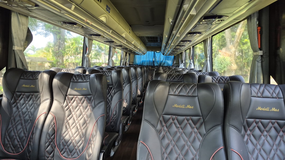 Nordeste de Ônibus: Sua Excursão Rodoviária Pelas Praias Mais Lindas