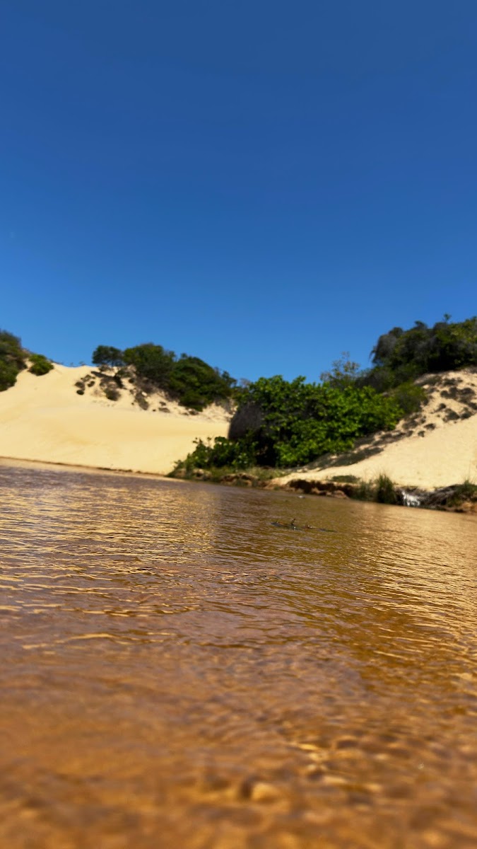 Pirambu: Roteiro Completo para sua Excursão no Litoral Sergipano