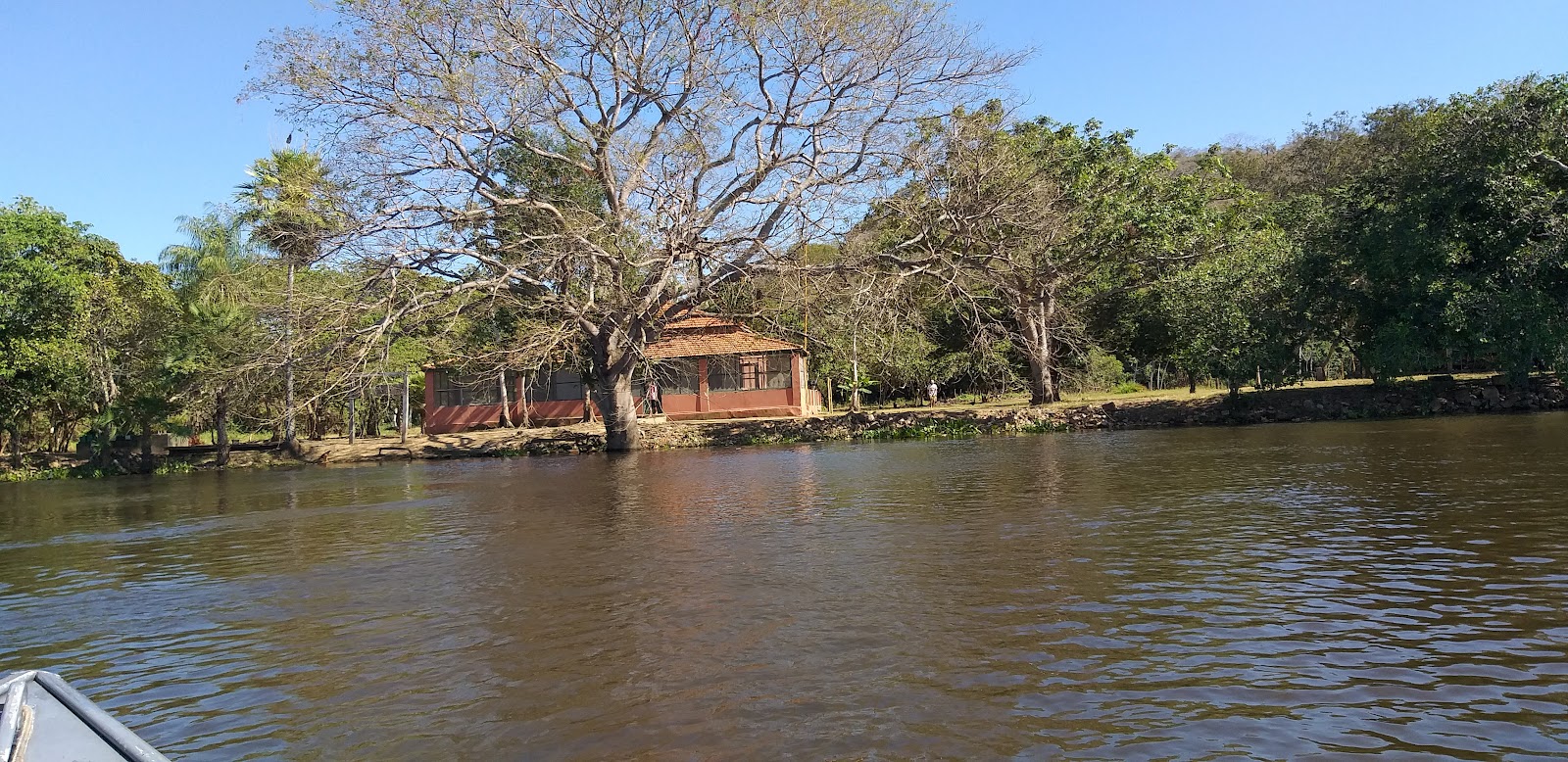 Poconé: Sua Aventura Rodoviária no Coração do Pantanal Mato-Grossense