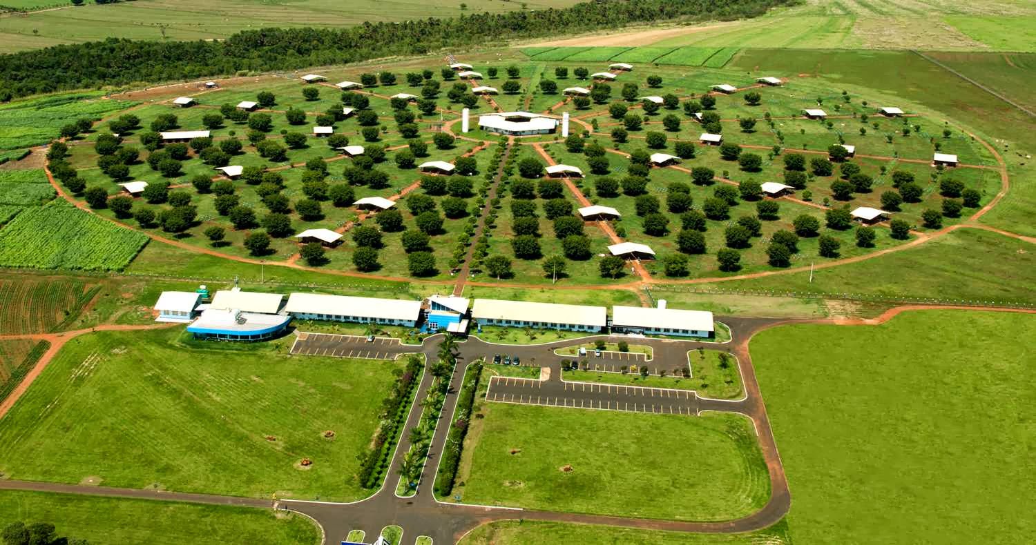 Tendências 2024: Excursões Rodoviárias no Brasil em Alta!