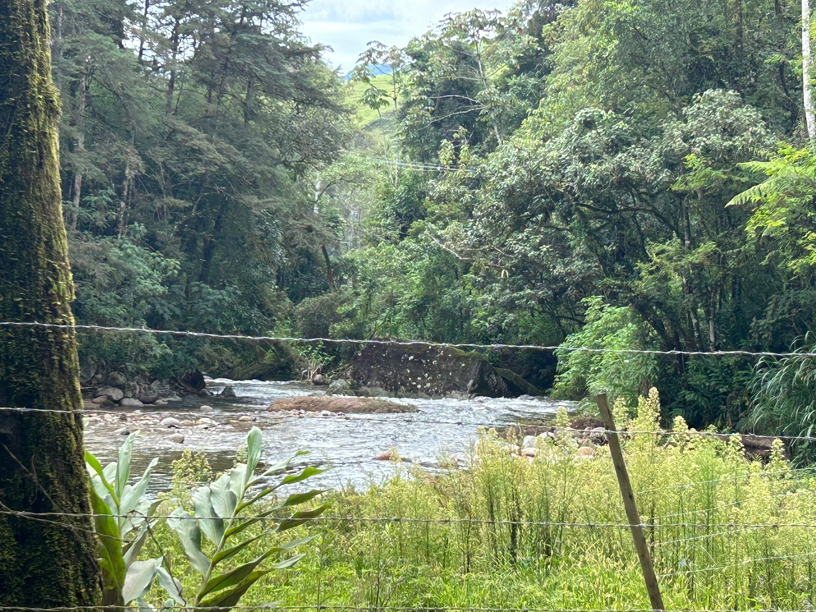 Visconde de Mauá: Roteiro Completo para Sua Excursão Rodoviária na Serra
